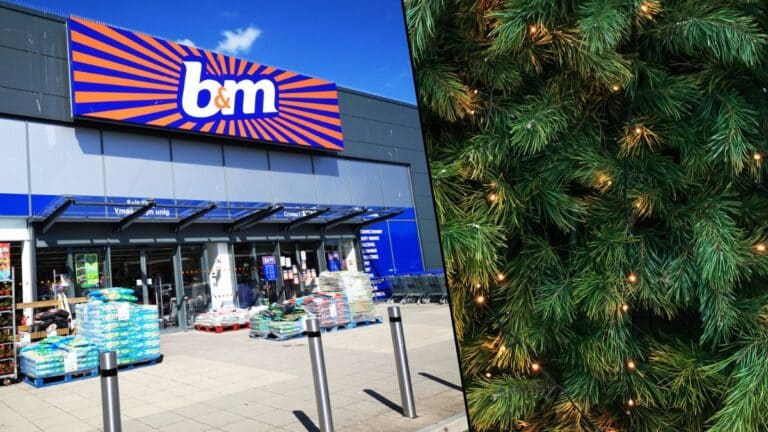 Les magasins B&M avant Noël