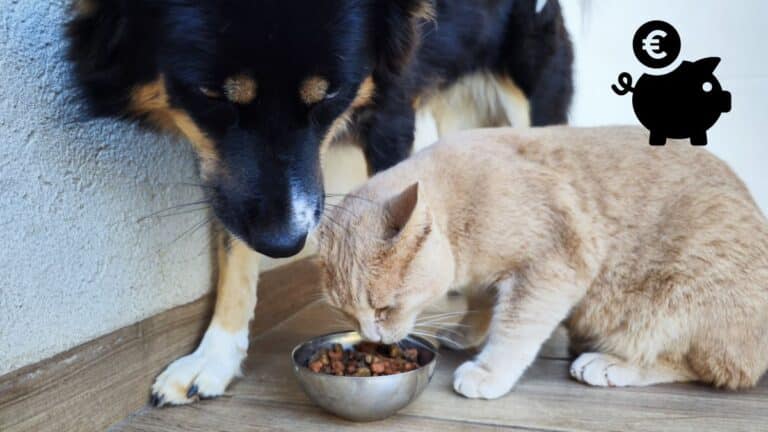 Des animaux en plein repas